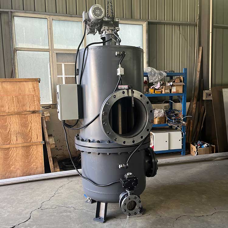 自清洗過濾器DLS-400-00-01-(3)